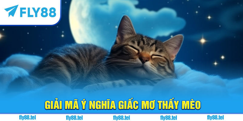 Nằm Mơ Thấy Mèo Là Điềm Gì? Giải Mã, Con Số Chuẩn 3 Giải mã ý nghĩa giấc mơ thấy mèo